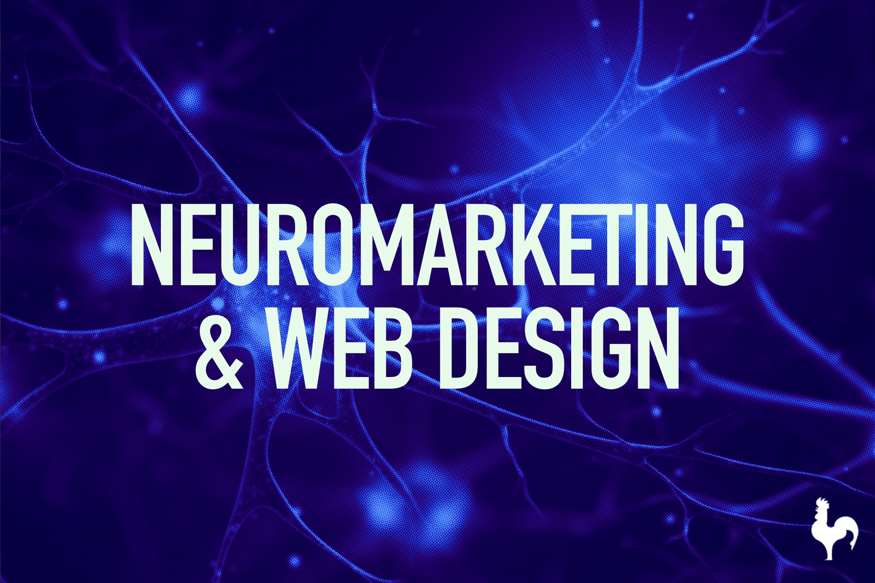 Neuromarketing and Web Design: The Subtle Triggers that Drive Conversions