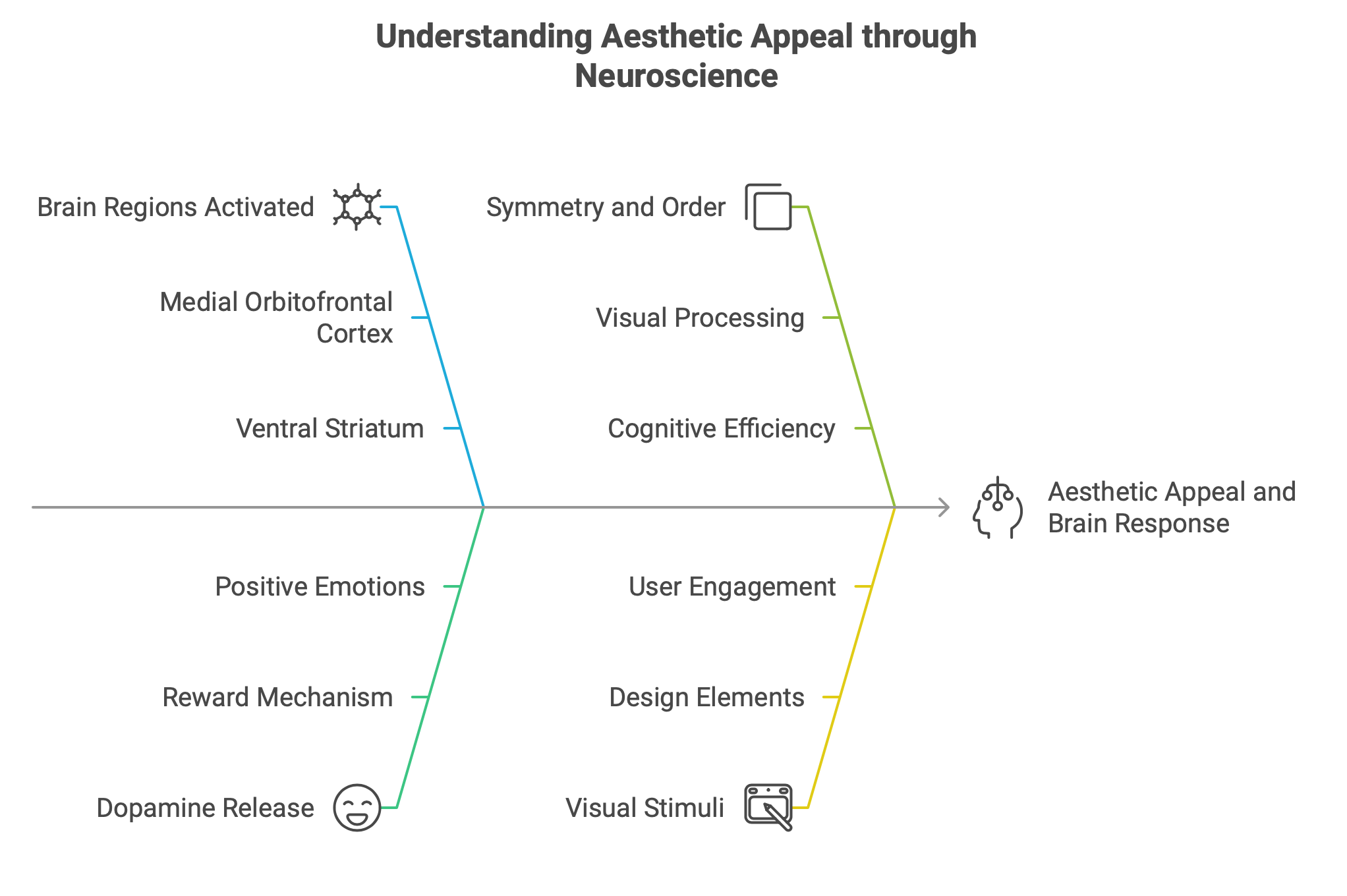 Understanding Aesthetics Appeal 